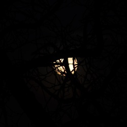 Up there/Moon/DSC_0380.JPG